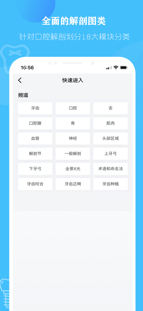 口腔解剖图 — 口腔牙科精美科普全息插图 - Una schermata del menu di navigazione che mostra 18 diverse categorie per lo studio dell'anatomia orale, tra cui denti, ossa, muscoli e nervi