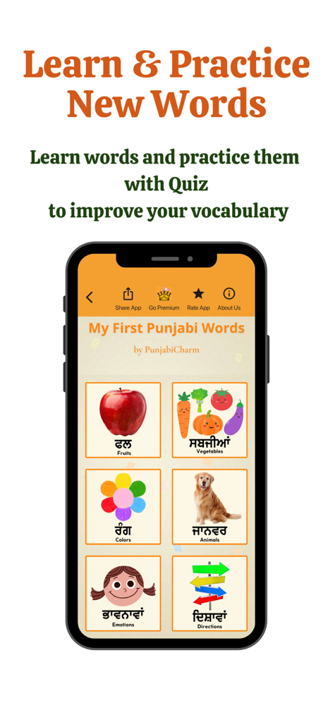 Punjabi vocabulary categories screen with illustrations for fruits, colors, and animals果物、色、動物のイラストが表示されたパンジャーブ語の語彙カテゴリー画面。