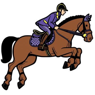 horse with english saddle and rider on top jumping. intr.equitly detailed