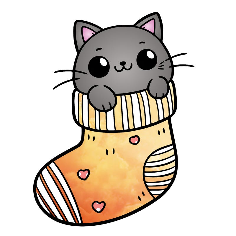 cute cat in a sock