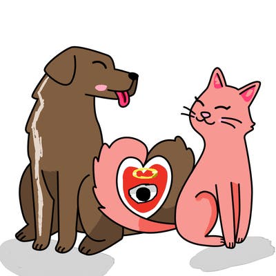animals_22