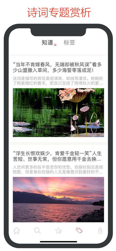 Interfaccia dell'app che mostra articoli curati di apprezzamento tematico per poesie cinesi antiche con immagini panoramiche