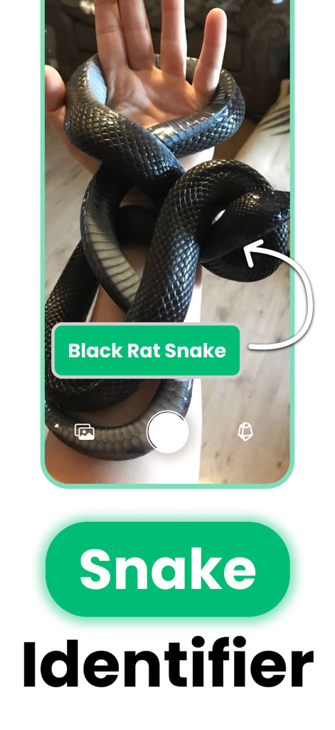 Snake Identifier: Snakepedia - Reference App | MWM