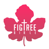 뉴 픽트리성경 - App Icon