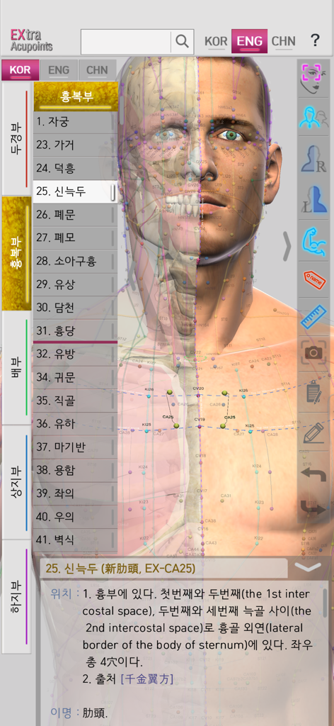 Extra Acupoints - Extra Acupoints mobile app featuring a 3D human head model with acupuncture point locations