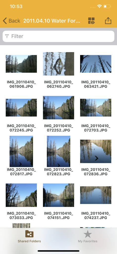 DS file app displaying a grid of photo thumbnails stored on a Synology NAS
