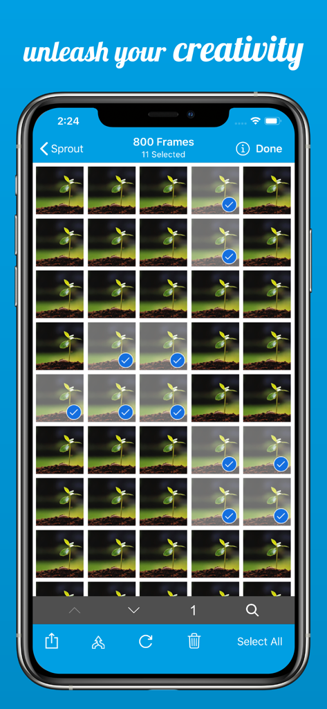 OSnap! Pro: Lapse & Motion - OSnap Proアプリのインターフェイスが、植物の成長タイムラプスシーケンスのフレームグリッドを表示しています