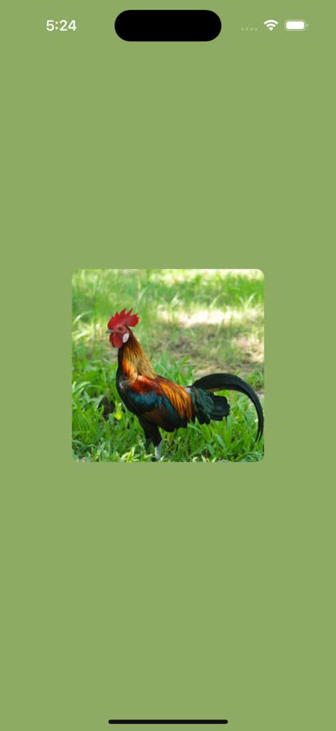 Screenshot of the Red Junglefowl Sounds and Calls app showing a wild rooster in a grassy field