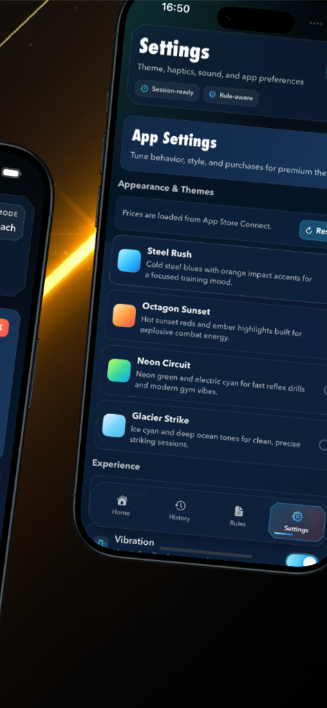 Settings screen of the How to K.O. app showing visual appearance themes and experience preferences