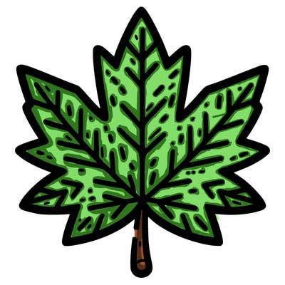 maple leaf