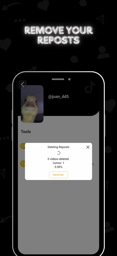 SocialAut app interface showing the process of automatically deleting reposts on a social media profile