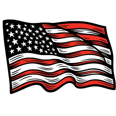 united states flag