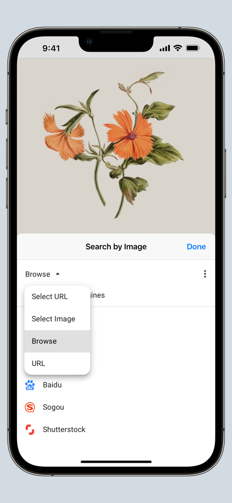 Safari extension menu for reverse image search with options to browse or select image URL