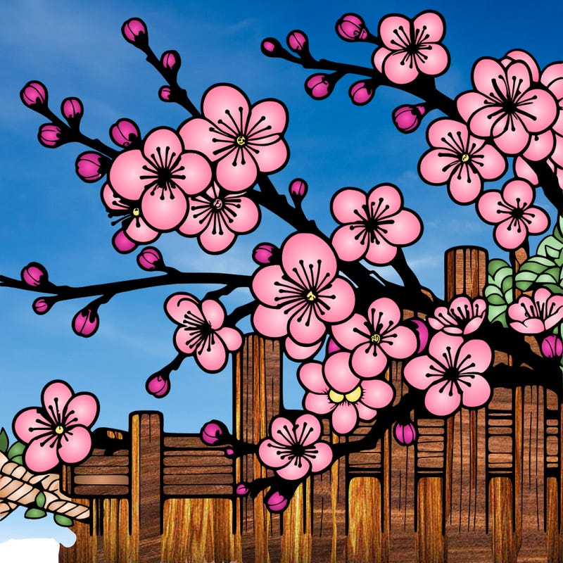 japan cherry blossom