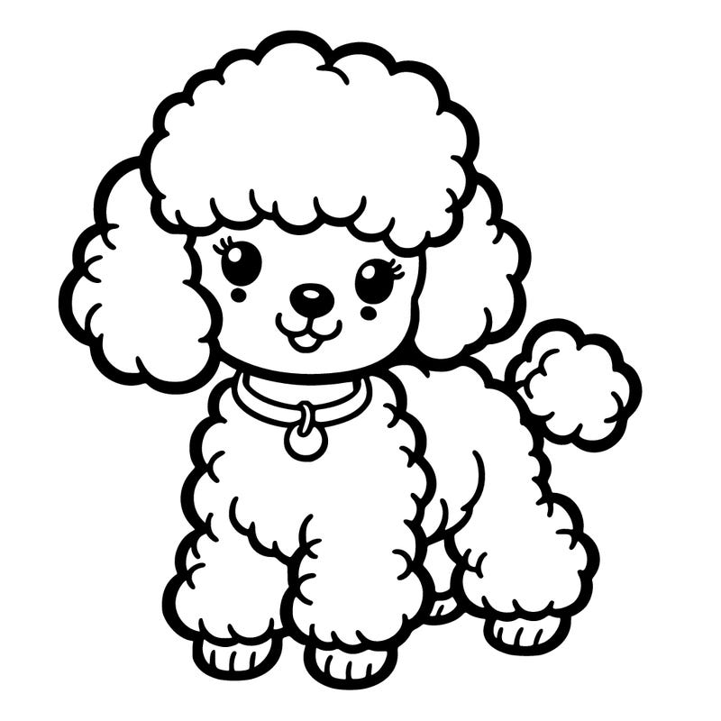 miniature poodle