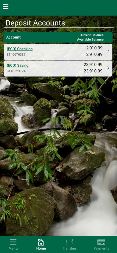 NBD MoBanking - NBD MoBanking app deposit accounts dashboard showing checking and savings balances