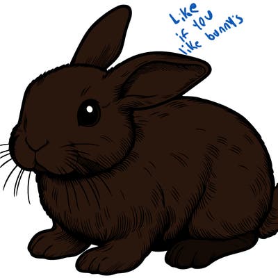 realistic bunny