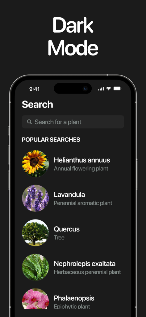 Planto: Plant Identifier - Search screen of the Planto app in dark mode showing popular plants like sunflower and lavender