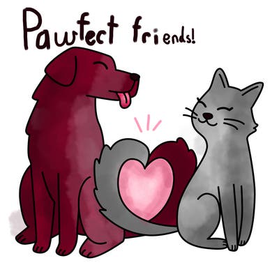 animals_22