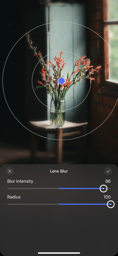 アプリインターフェイスで花の画像にレンズぼかしの強度と半径を調整しています