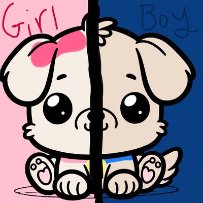 cute puppy