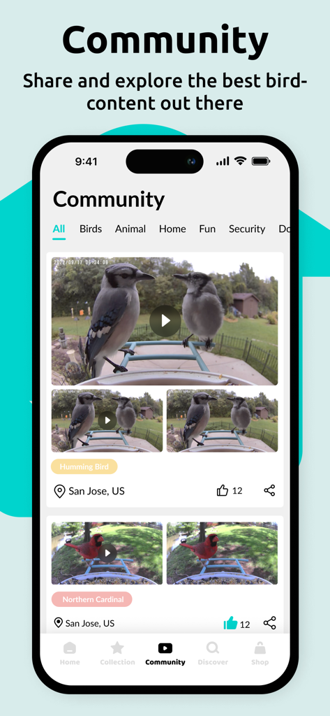 The Birdfy app community page displaying shared videos of birds from outdoor feeders