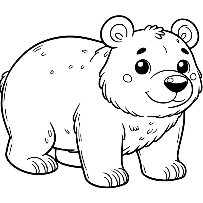 bear