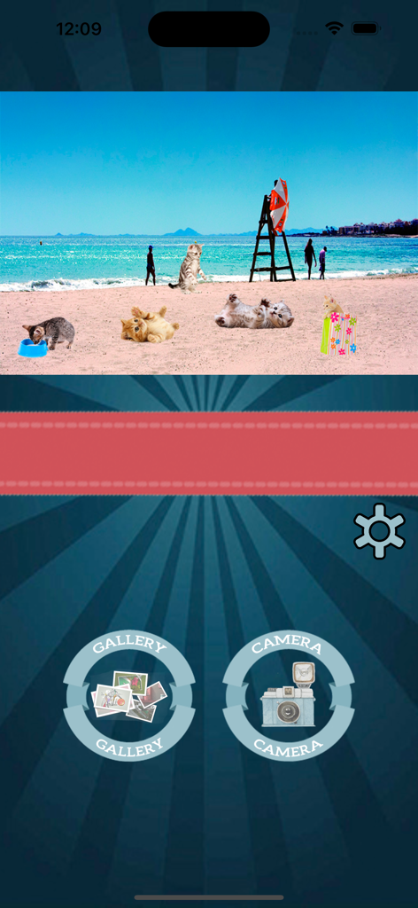 Interface of the Cat face stickers filters app showing camera and gallery options below a photo of cats on a beach