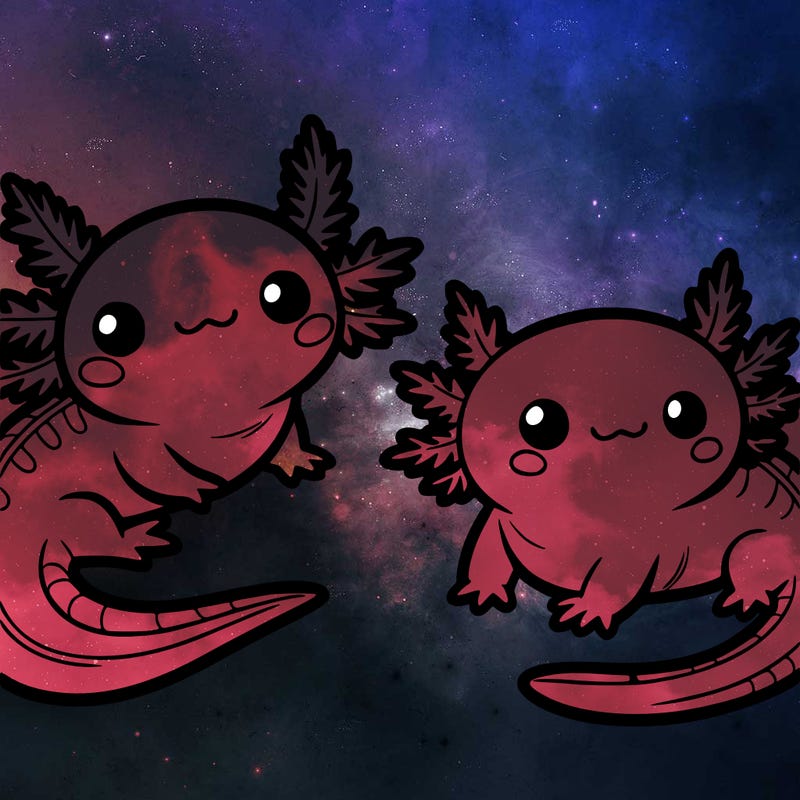 cute axolotls