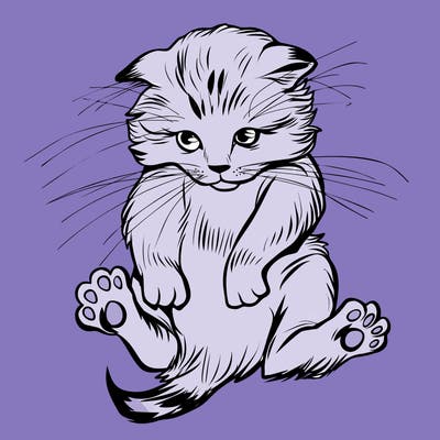 animals_20