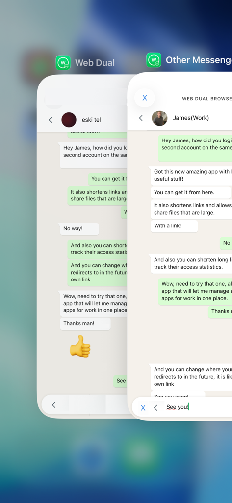 Side-by-side view of personal and work chat accounts running on the same mobile device using the Web Dual app.