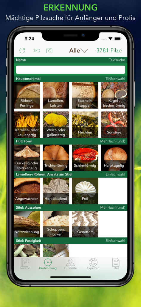Écran d'identification avancée des champignons avec des catégories de recherche visuelle pour la forme du chapeau, l'aspect du pied et les lamelles.