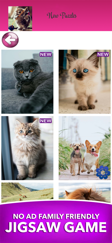 A selection of cute animal jigsaw puzzles for children including kittens and puppies.