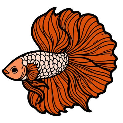 betta fish