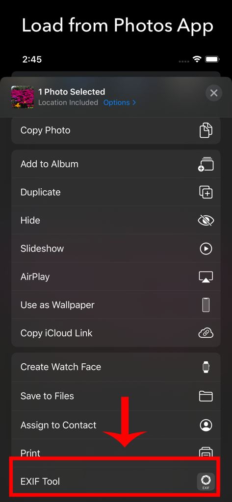EXIF Tool extension visible in the iOS Photos app share menu