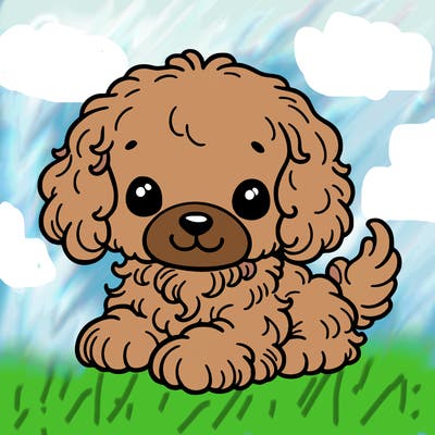 cavapoo