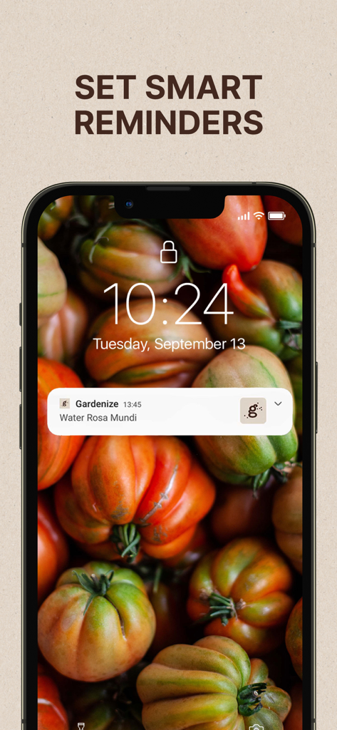 GARDENIZE Plant Care Gardening - iPhone lock screen showing a Gardenize app notification to water a Rosa Mundi plant with a background of heirloom tomatoes