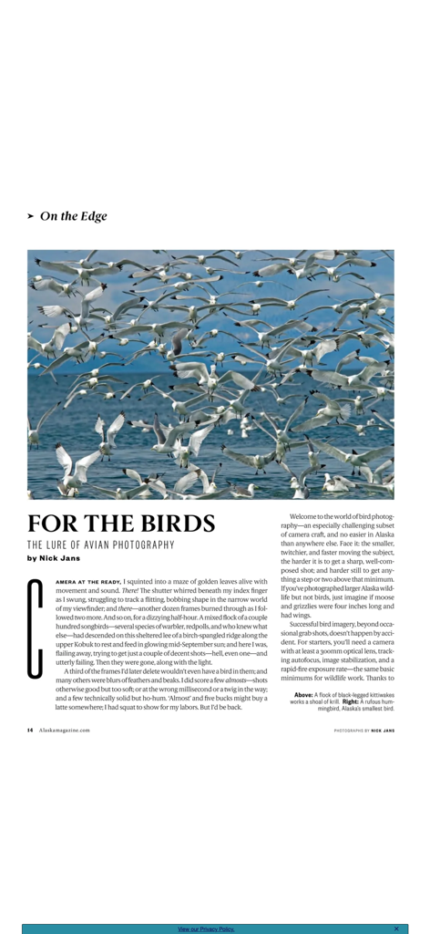 Alaska Magazine - Un artículo en Alaska Magazine titulado 'Para los pájaros' que presenta una gran foto de una bandada de pájaros en vuelo.