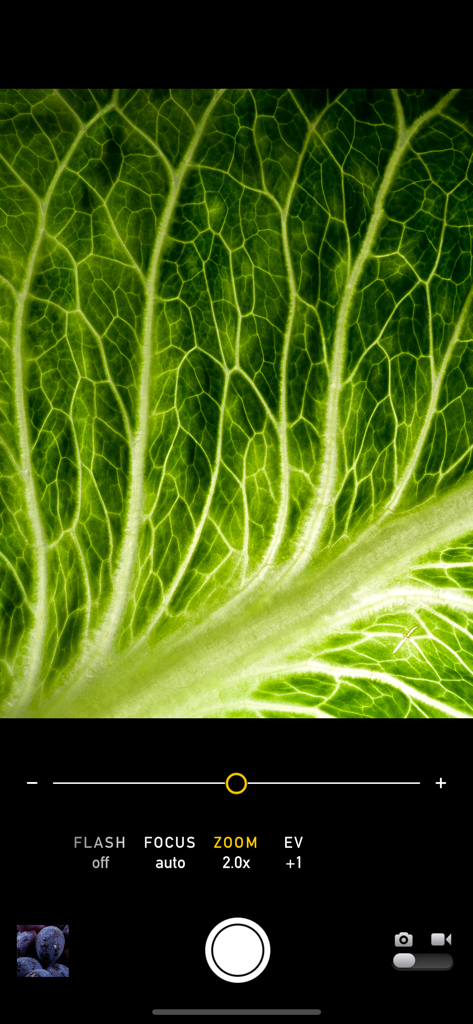 マクロモードカメラアプリのインターフェイスにある、緑の葉脈構造のクローズアップ写真。手動フォーカスと露出コントロールが含まれています。