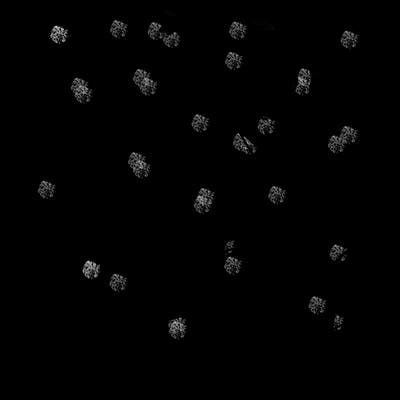 women's artistic gymnastics