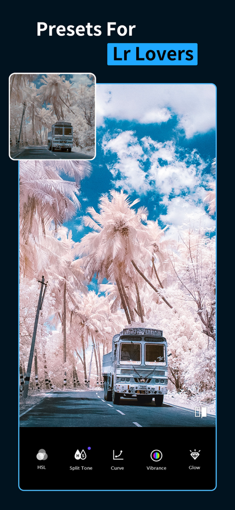 Koloro app interface showing a photo with a stylized infrared preset and professional editing tools like HSL and Curve