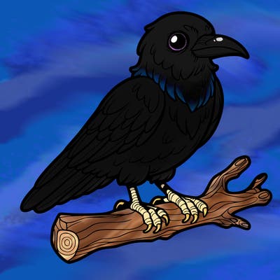 raven on a branch