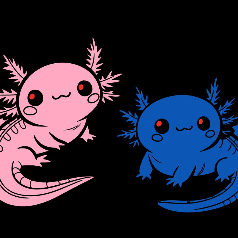 cute axolotls
