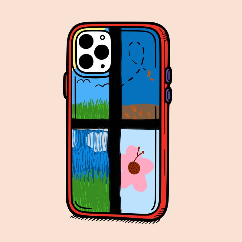 phone case