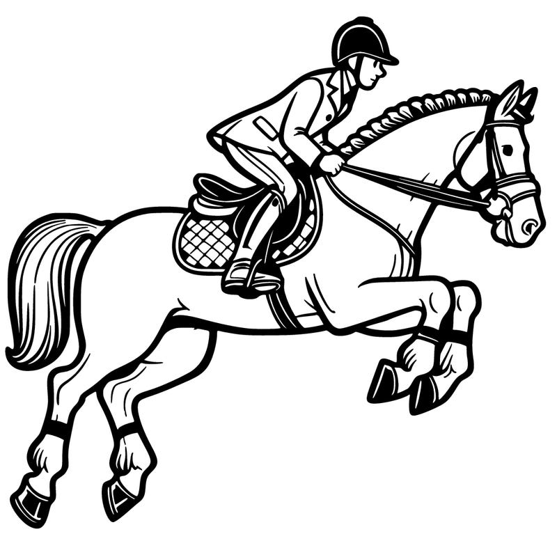 horse with english saddle and rider on top jumping. intr.equitly detailed
