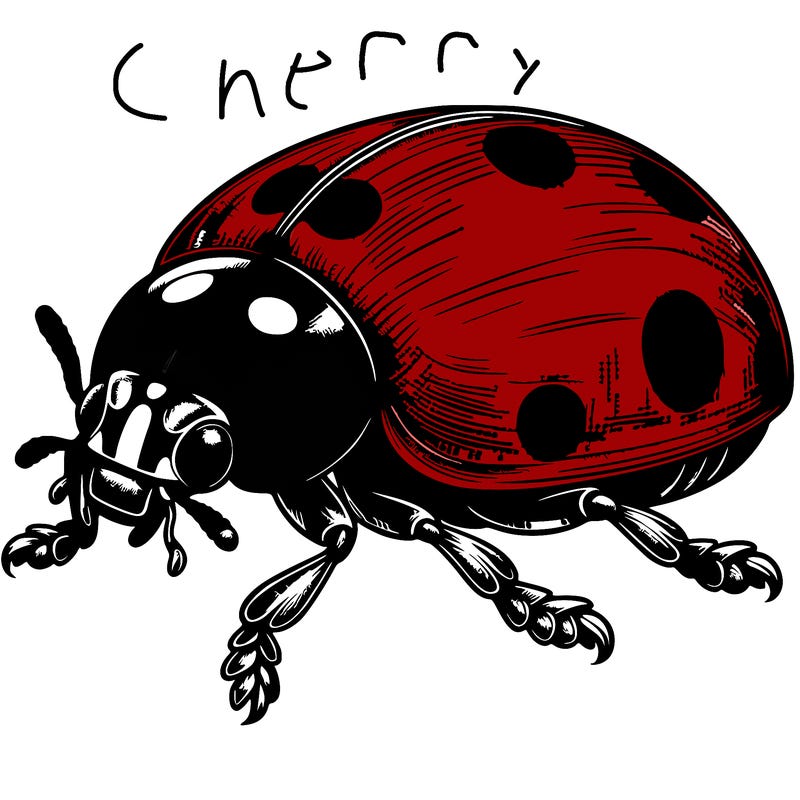 realistic ladybug