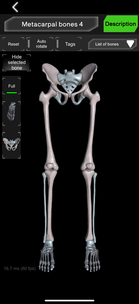Bones 3D (Anatomy) - Education App | MWM