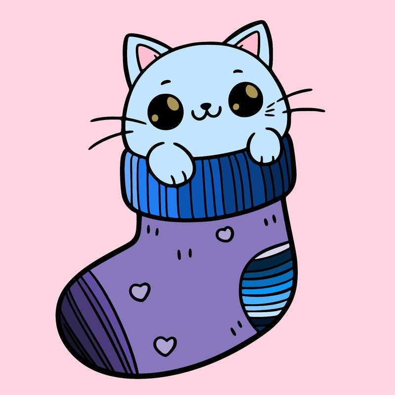 cute cat in a sock