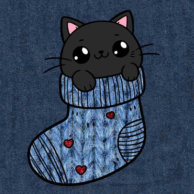 cute cat in a sock