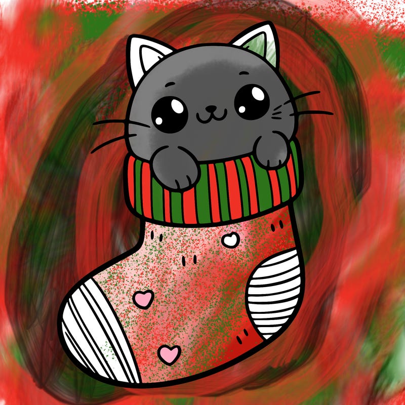 cute cat in a sock